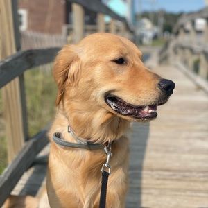 Meet your Posher, Hunter